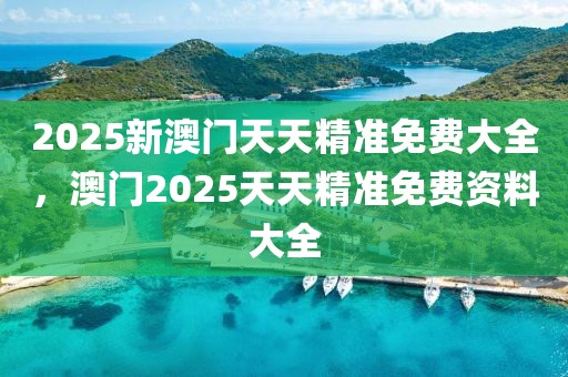 2025新澳門天天精準(zhǔn)免費(fèi)大全，澳門2025天天精準(zhǔn)免費(fèi)資料大全