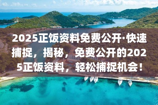 2025正飯資料免費(fèi)公開·快速捕捉，揭秘，免費(fèi)公開的2025正飯資料，輕松捕捉機(jī)會！