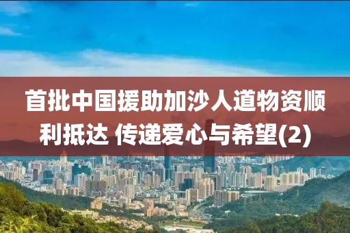 首批中國援助加沙人道物資順利抵達 傳遞愛心與希望(2)