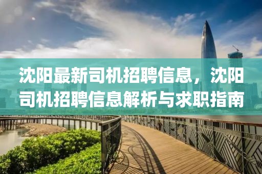 沈陽最新司機(jī)招聘信息，沈陽司機(jī)招聘信息解析與求職指南