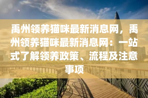 禹州領(lǐng)養(yǎng)貓咪最新消息網(wǎng)，禹州領(lǐng)養(yǎng)貓咪最新消息網(wǎng)：一站式了解領(lǐng)養(yǎng)政策、流程及注意事項(xiàng)