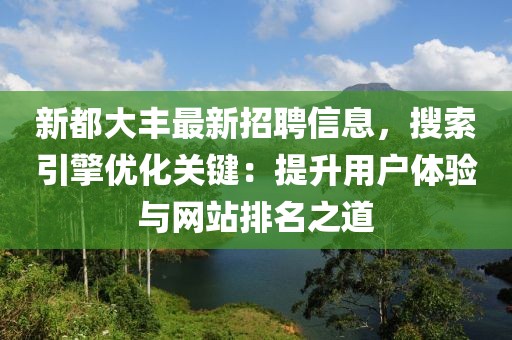 新都大豐最新招聘信息，搜索引擎優(yōu)化關(guān)鍵：提升用戶體驗(yàn)與網(wǎng)站排名之道