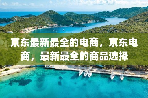 京東最新最全的電商，京東電商，最新最全的商品選擇