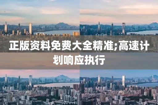 正版資料免費(fèi)大全精準(zhǔn);高速計(jì)劃響應(yīng)執(zhí)行