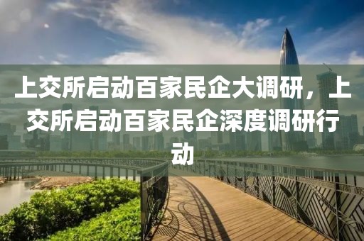 上交所啟動百家民企大調(diào)研，上交所啟動百家民企深度調(diào)研行動