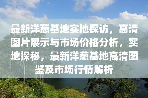 最新洋蔥基地實地探訪，高清圖片展示與市場價格分析，實地探秘，最新洋蔥基地高清圖鑒及市場行情解析