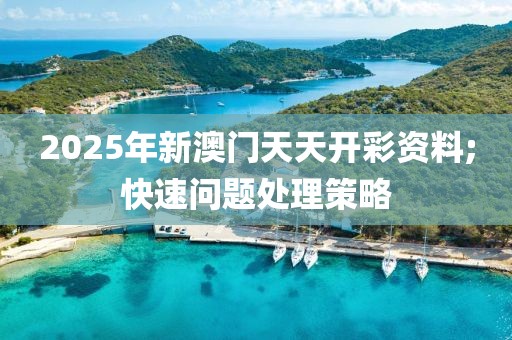 2025年新澳門天天開彩資料;快速問題處理策略