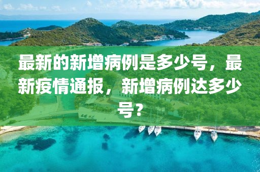 最新的新增病例是多少號，最新疫情通報(bào)，新增病例達(dá)多少號？