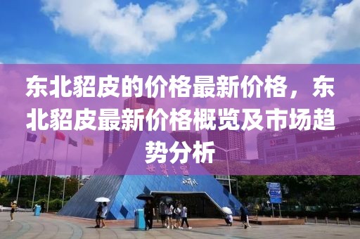 東北貂皮的價(jià)格最新價(jià)格，東北貂皮最新價(jià)格概覽及市場(chǎng)趨勢(shì)分析