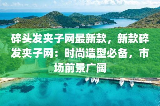碎頭發(fā)夾子網(wǎng)最新款，新款碎發(fā)夾子網(wǎng)：時尚造型必備，市場前景廣闊
