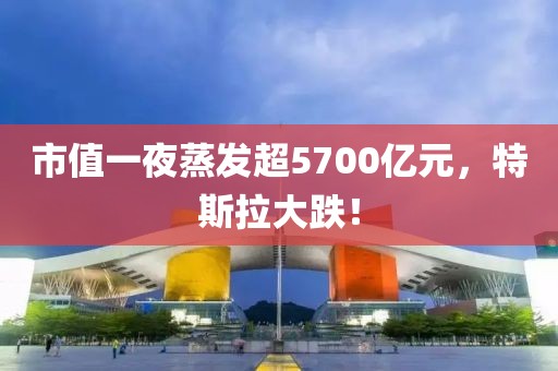 市值一夜蒸發(fā)超5700億元，特斯拉大跌！
