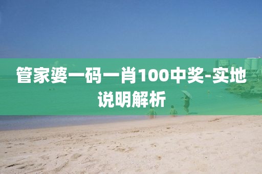 管家婆一碼一肖100中獎-實地說明解析