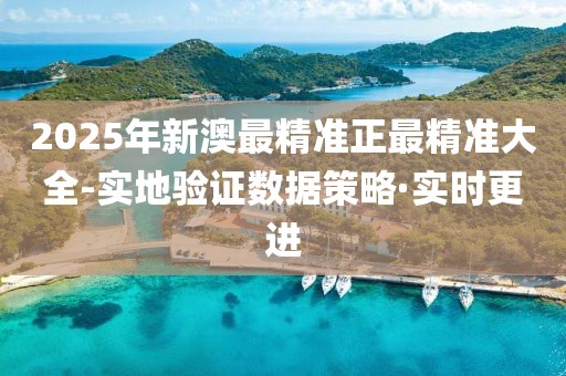 2025年新澳最精準(zhǔn)正最精準(zhǔn)大全-實地驗證數(shù)據(jù)策略·實時更進