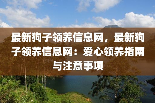 最新狗子領(lǐng)養(yǎng)信息網(wǎng)，最新狗子領(lǐng)養(yǎng)信息網(wǎng)：愛心領(lǐng)養(yǎng)指南與注意事項