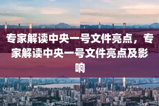 專家解讀中央一號文件亮點，專家解讀中央一號文件亮點及影響