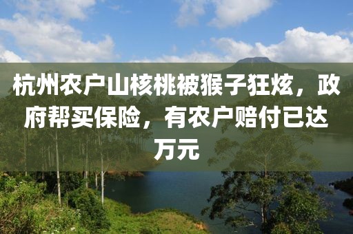 杭州農(nóng)戶山核桃被猴子狂炫，政府幫買保險(xiǎn)，有農(nóng)戶賠付已達(dá)萬(wàn)元