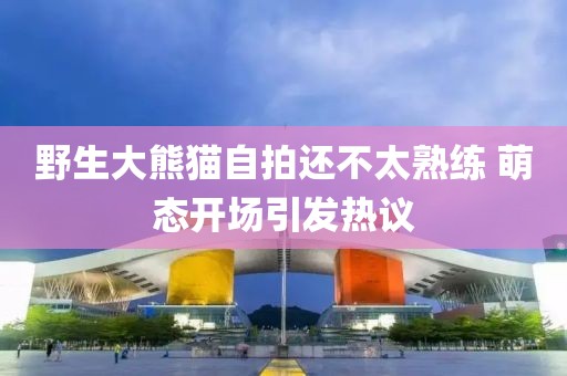 第3656頁