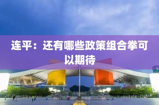 連平：還有哪些政策組合拳可以期待