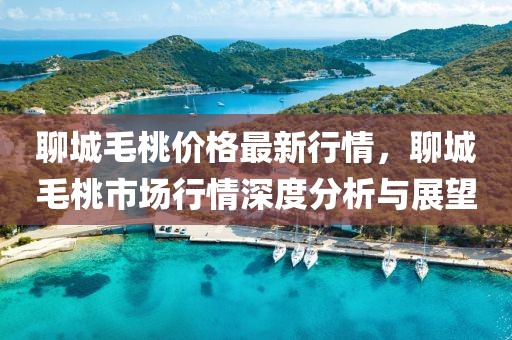 聊城毛桃價(jià)格最新行情，聊城毛桃市場(chǎng)行情深度分析與展望