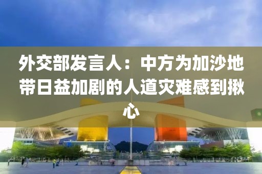 外交部發(fā)言人：中方為加沙地帶日益加劇的人道災(zāi)難感到揪心