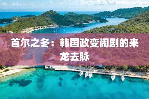 首爾之冬：韓國(guó)政變鬧劇的來龍去脈