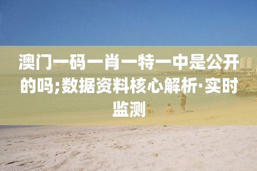 澳門一碼一肖一特一中是公開的嗎;數(shù)據(jù)資料核心解析·實時監(jiān)測