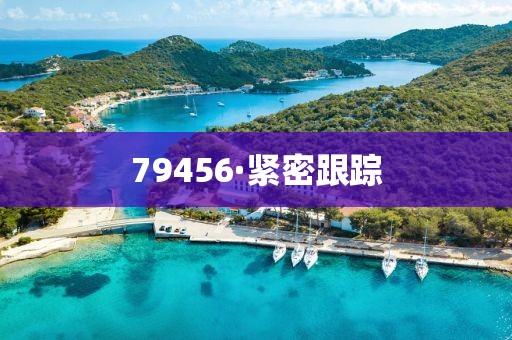 79456·緊密跟蹤