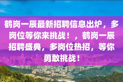 鶴崗一辰最新招聘信息出爐，多崗位等你來(lái)挑戰(zhàn)！，鶴崗一辰招聘盛典，多崗位熱招，等你勇敢挑戰(zhàn)！