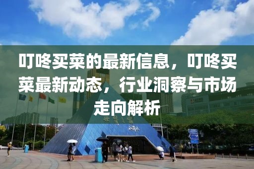 叮咚買(mǎi)菜的最新信息，叮咚買(mǎi)菜最新動(dòng)態(tài)，行業(yè)洞察與市場(chǎng)走向解析