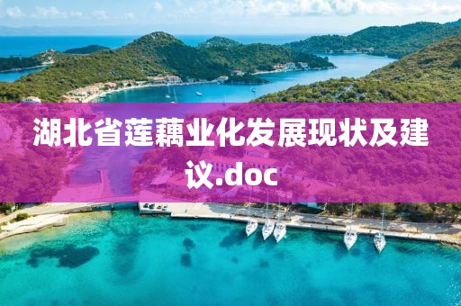 湖北省蓮藕業(yè)化發(fā)展現(xiàn)狀及建議.doc