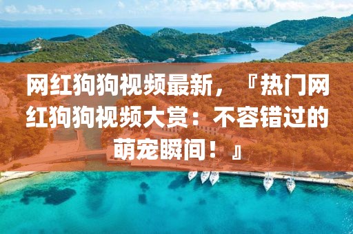 網(wǎng)紅狗狗視頻最新，『熱門網(wǎng)紅狗狗視頻大賞：不容錯(cuò)過(guò)的萌寵瞬間！』