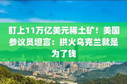 gongjiaming 第13頁