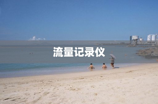 流量記錄儀