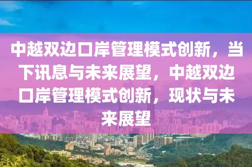 中越雙邊口岸管理模式創(chuàng)新，當(dāng)下訊息與未來展望，中越雙邊口岸管理模式創(chuàng)新，現(xiàn)狀與未來展望