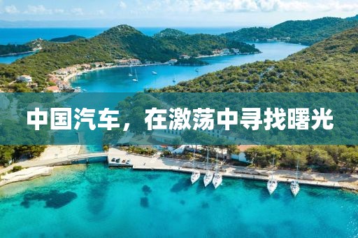 中國(guó)汽車，在激蕩中尋找曙光