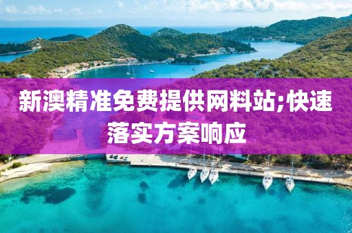 新澳精準(zhǔn)免費(fèi)提供網(wǎng)料站;快速落實(shí)方案響應(yīng)