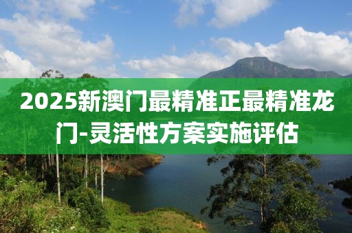 2025新澳門最精準正最精準龍門-靈活性方案實施評估