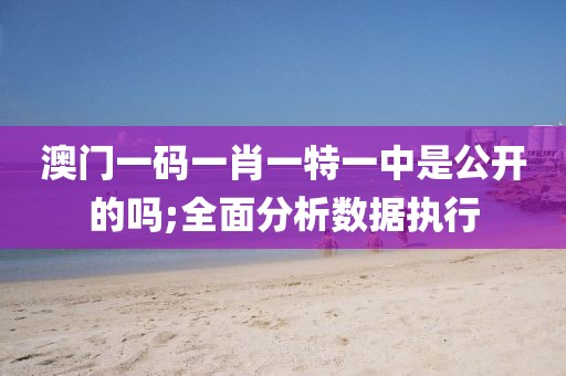 澳門一碼一肖一特一中是公開的嗎;全面分析數(shù)據(jù)執(zhí)行