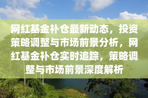 網(wǎng)紅基金補(bǔ)倉最新動態(tài)，投資策略調(diào)整與市場前景分析，網(wǎng)紅基金補(bǔ)倉實時追蹤，策略調(diào)整與市場前景深度解析