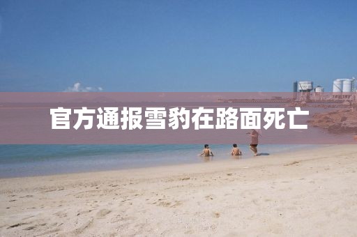 官方通報雪豹在路面死亡