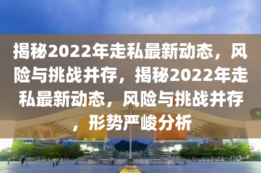 揭秘2022年走私最新動態(tài)，風險與挑戰(zhàn)并存，揭秘2022年走私最新動態(tài)，風險與挑戰(zhàn)并存，形勢嚴峻分析
