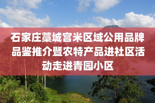 石家莊藁城宮米區(qū)域公用品牌品鑒推介暨農(nóng)特產(chǎn)品進(jìn)社區(qū)活動(dòng)走進(jìn)青園小區(qū)