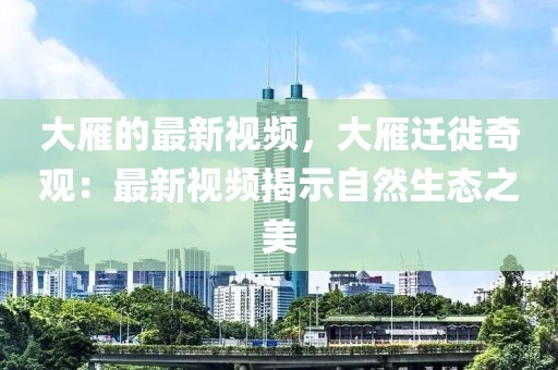 大雁的最新視頻，大雁遷徙奇觀：最新視頻揭示自然生態(tài)之美