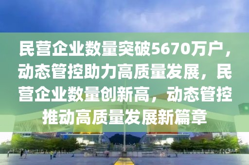 民營企業(yè)數(shù)量突破5670萬戶，動態(tài)管控助力高質(zhì)量發(fā)展，民營企業(yè)數(shù)量創(chuàng)新高，動態(tài)管控推動高質(zhì)量發(fā)展新篇章