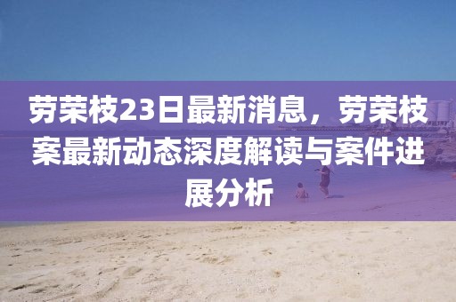 勞榮枝23日最新消息，勞榮枝案最新動態(tài)深度解讀與案件進展分析