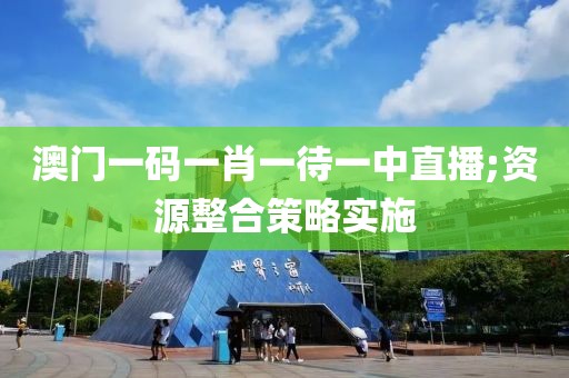 澳門一碼一肖一待一中直播;資源整合策略實施