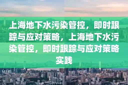 上海地下水污染管控，即時跟蹤與應對策略，上海地下水污染管控，即時跟蹤與應對策略實踐