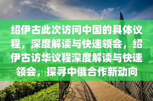 紹伊古此次訪問中國(guó)的具體議程，深度解讀與快速領(lǐng)會(huì)，紹伊古訪華議程深度解讀與快速領(lǐng)會(huì)，探尋中俄合作新動(dòng)向