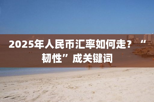 2025年人民幣匯率如何走？“韌性”成關(guān)鍵詞