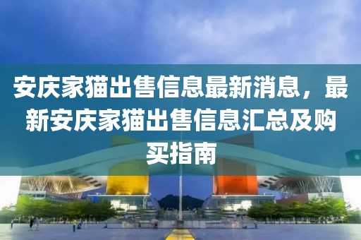 安慶家貓出售信息最新消息，最新安慶家貓出售信息匯總及購買指南